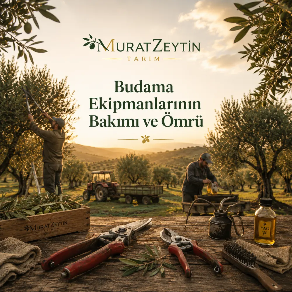 Budama Ekipmanlarının Bakımı ve Ömrü