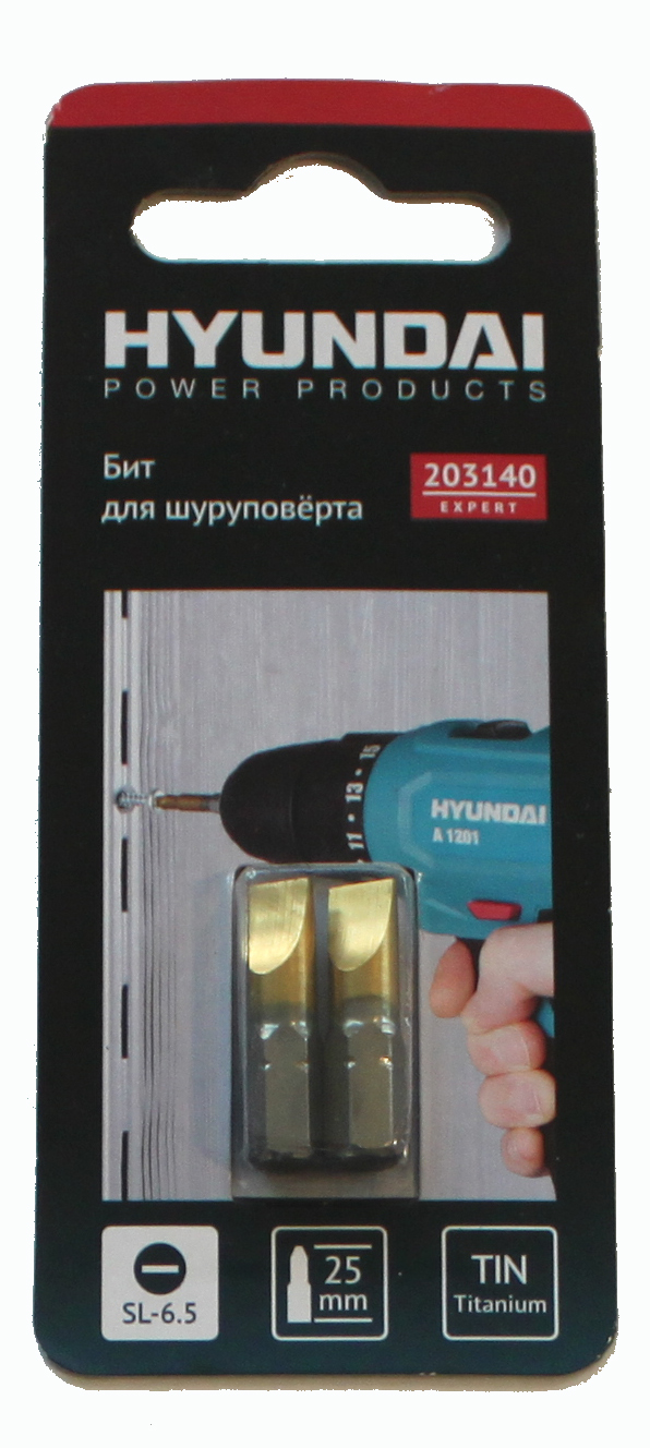BITS UÇ SL-6,5  25MM 2 Lİ SET