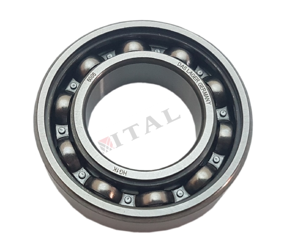 RULMAN 6005 GENEL