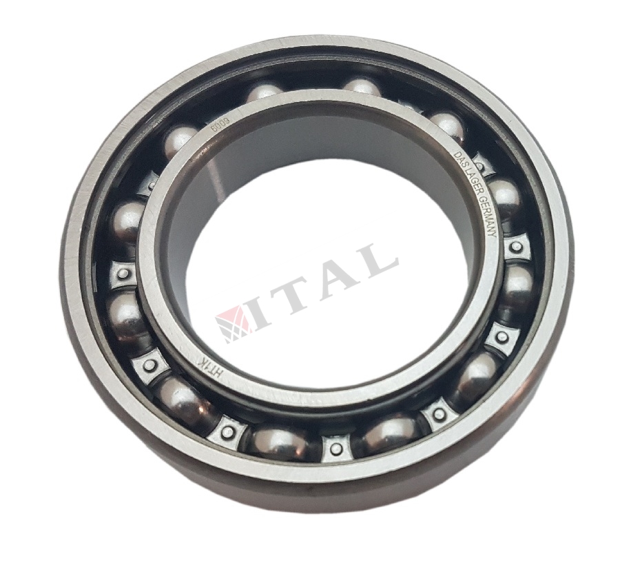 RULMAN 6009 GENEL