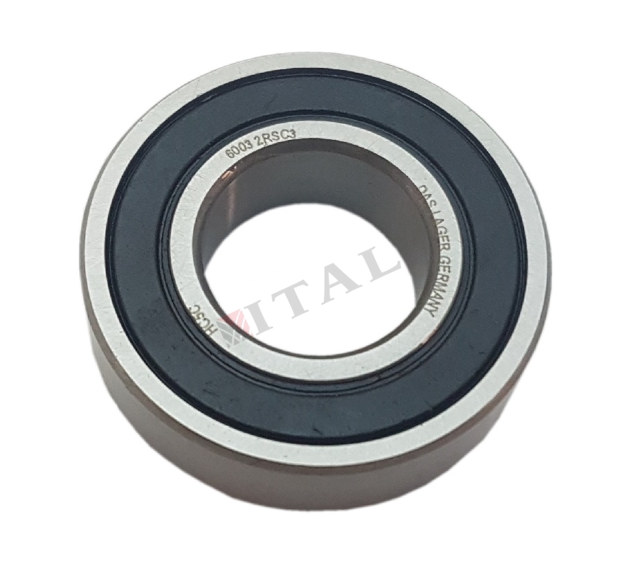 RULMAN 6003 GENEL