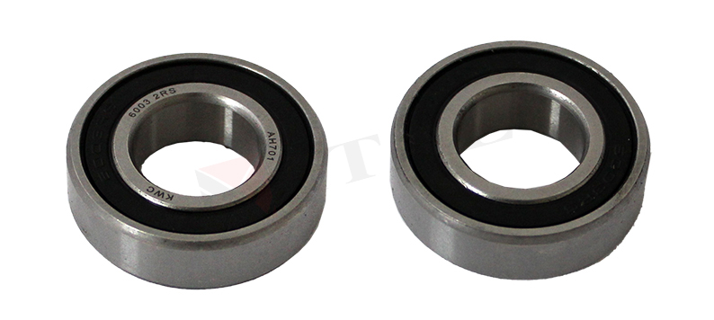 RULMAN 6003 2RS PLASTİK KAPAKLI