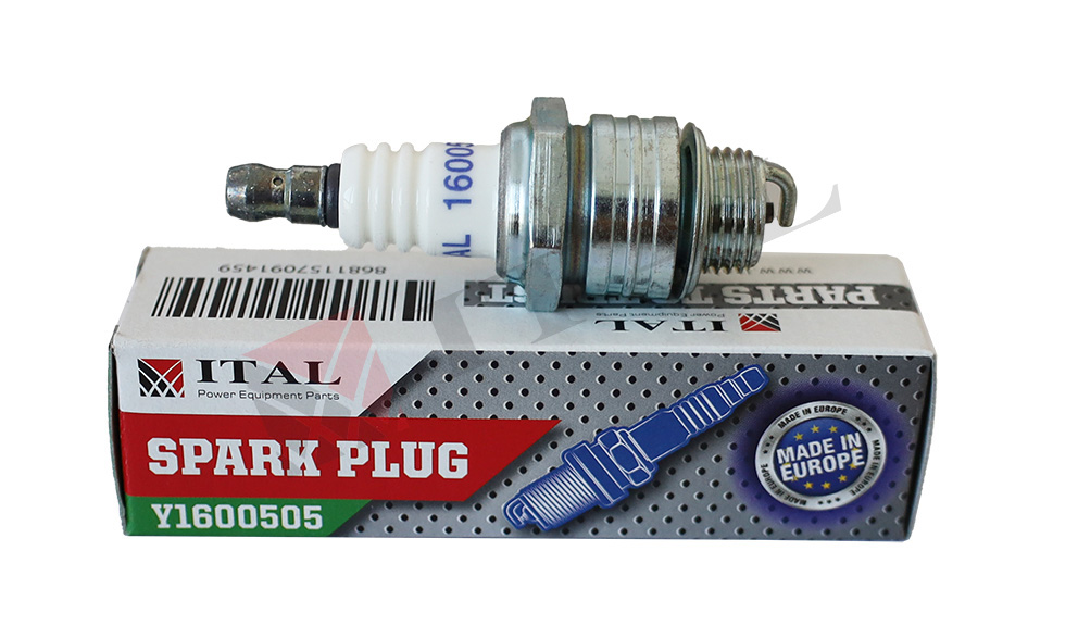 BUJİ ITAL 4 ZAMANLI - EUROPE ÇİM biçme Briggs
