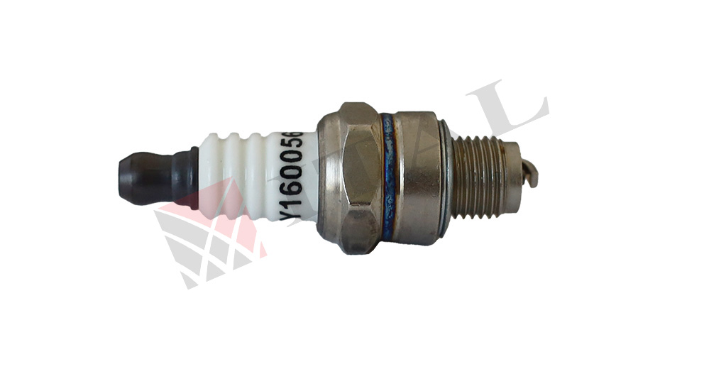 BUJİ ITAL MS181/MS211/545RX/OHT550/IMT2611 CMRA T