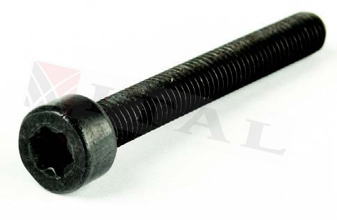 SİLİNDİR SAPLAMASI STI. 023/025/MS250/210/211/230