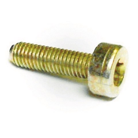 STARTER VİDASI STI MS361/MS381/460 T27 M5X20