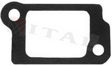 MANİFOLT CONTASI B&S 3,5HP