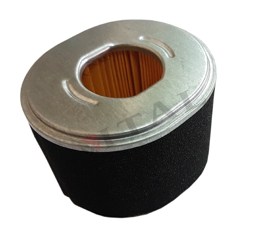 HAVA FİLTRESİ LC G240/G270F (ELEMAN)